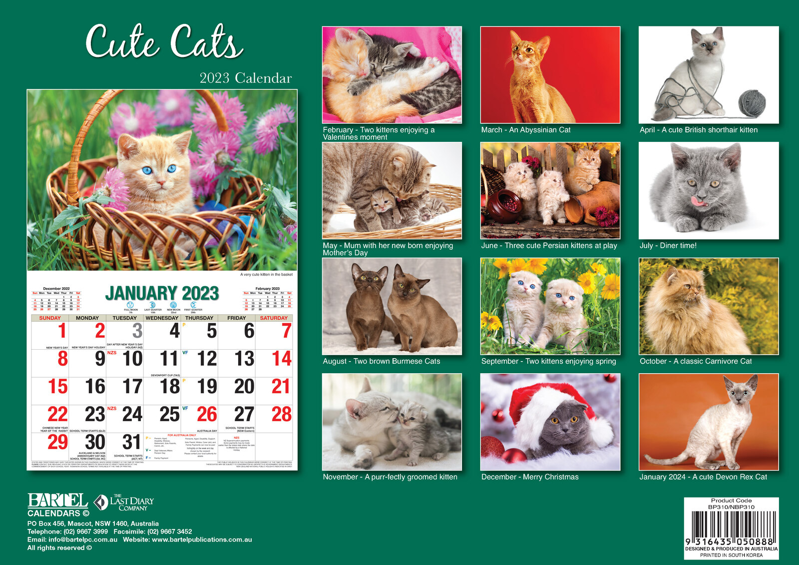 2023 Calendar Cute Cats Big Print Wall by Bartel BP310 - Bartel Calendars