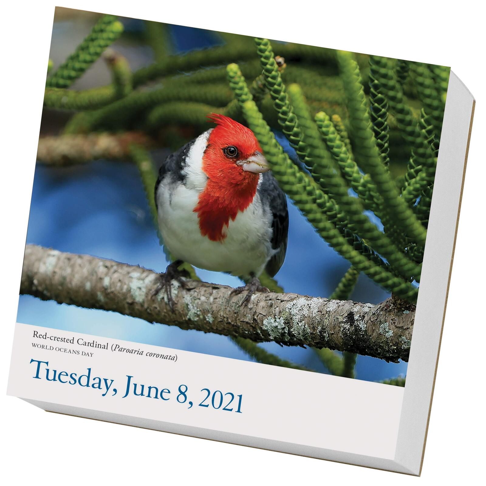 2021 Calendar Audubon Birds PageADay Boxed by Workman W08990 eBay