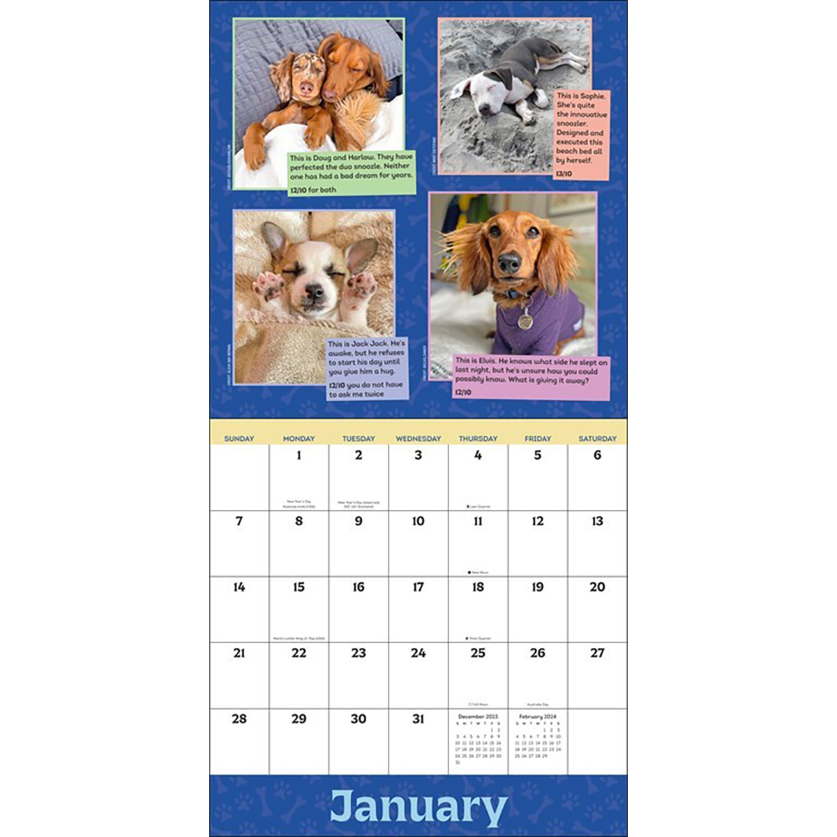 Weratedogs calendar best sale