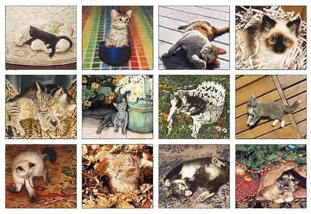 2023 Calendar Kittens by Sueellen Ross Legacy WCA75889 - Legacy