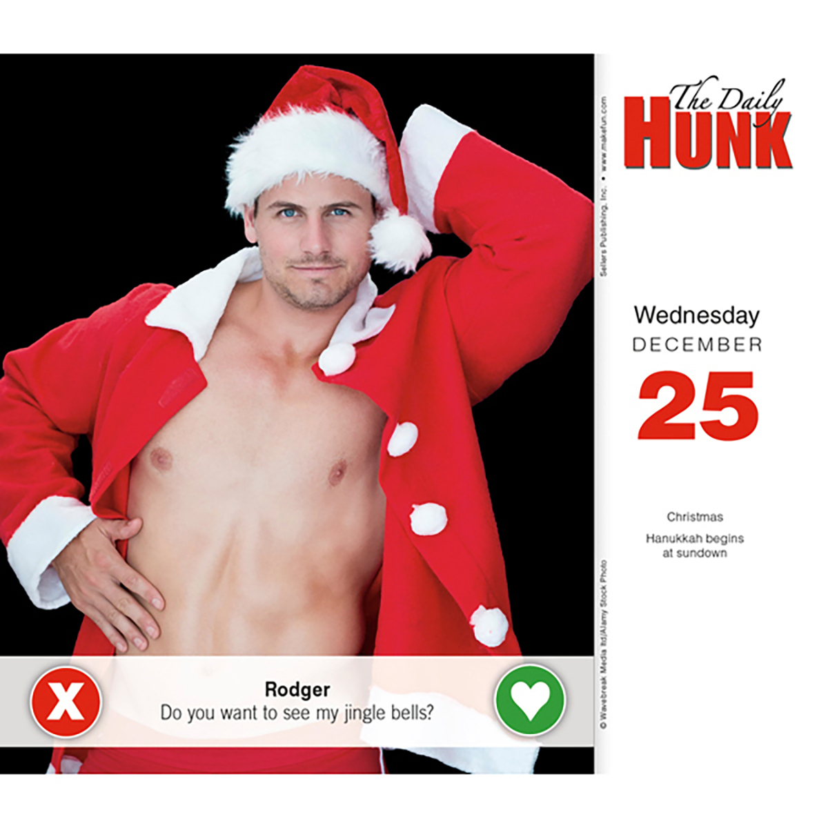 The Daily Hunk 2024 Daily Boxed Calendar by Sellers Publishing