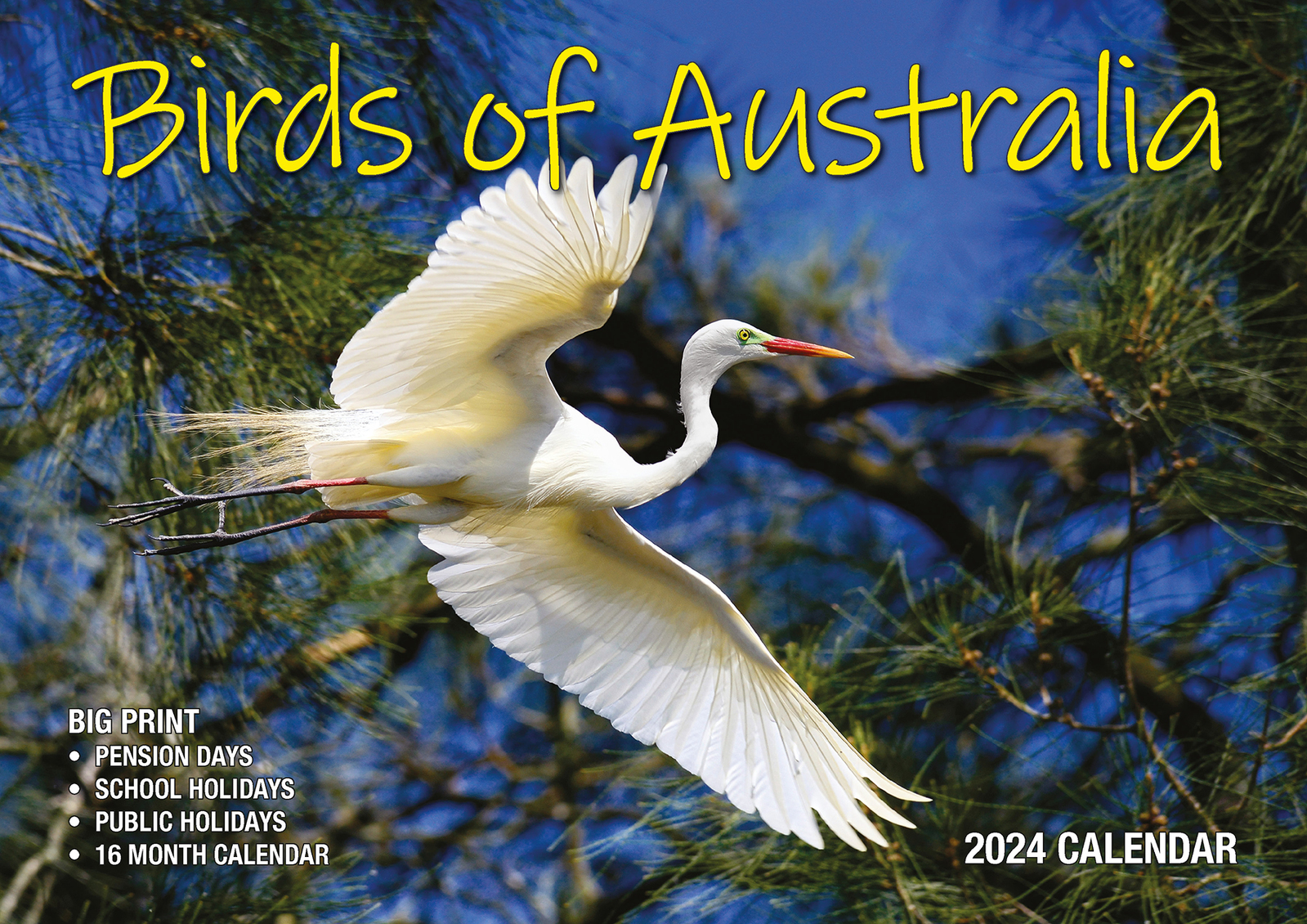 Birds Of Australia 2024 Big Print Wall Calendar By Bartel Calendars   9316435061662 