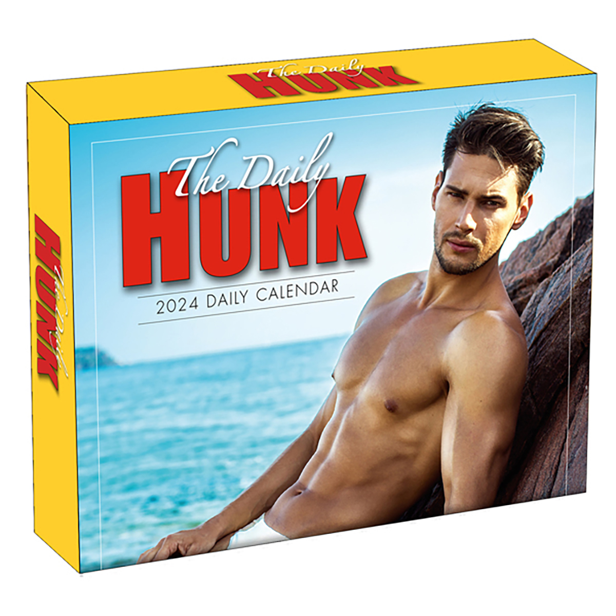 The Daily Hunk 2024 Daily Boxed Calendar by Sellers Publishing