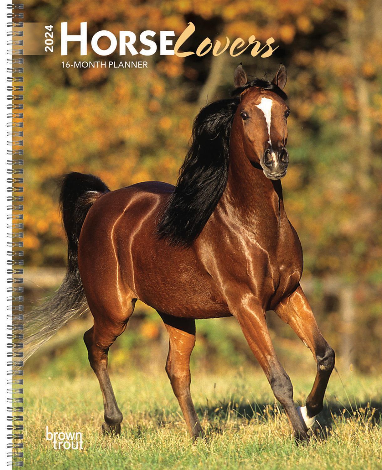 Horse Lovers 2024 16-Month Planner Diary