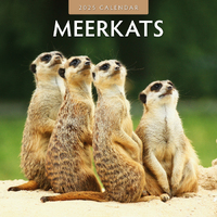 2025 Calendar Meerkats 16-Month Square Wall Red Robin RR250033