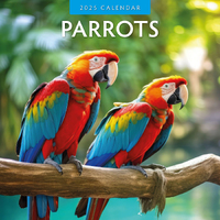 2025 Calendar Parrots 16-Month Square Wall Red Robin RR250037