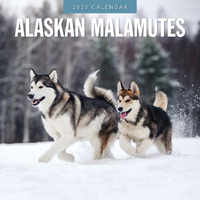 2025 Calendar Alaskan Malamutes 16-Month Square Wall Red Robin RR250053