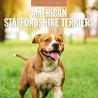 2025 Calendar American Staffordshire Terriers 16-Month Square Wall Red Robin RR250055