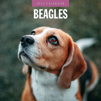 2025 Calendar Beagles 16-Month Square Wall Red Robin RR250059