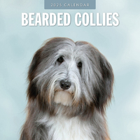 2025 Calendar Bearded Collies 16-Month Square Wall Red Robin RR250060