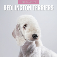 2025 Calendar Bedlington Terriers 16-Month Square Wall Red Robin RR250061