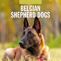 2025 Calendar Belgian Shepherd Dogs 16-Month Square Wall Red Robin RR250062