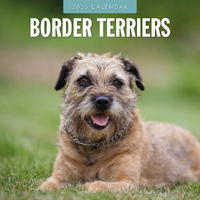 2025 Calendar Border Terriers 16-Month Square Wall Red Robin RR250069