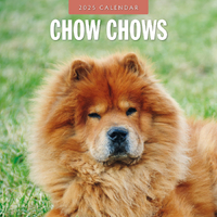 2025 Calendar Chow Chows 16-Month Square Wall Red Robin RR250083