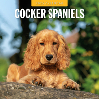 2025 Calendar Cocker Spaniels 16-Month Square Wall Red Robin RR250085