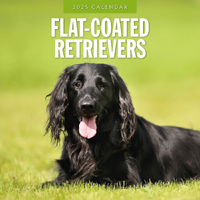 2025 Calendar Flat Coated Retrievers 16-Month Square Wall Red Robin RR250096