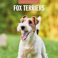 2025 Calendar Fox Terriers 16-Month Square Wall Red Robin RR250098