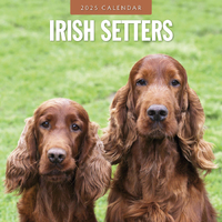 2025 Calendar Irish Setters 16-Month Square Wall Red Robin RR250111