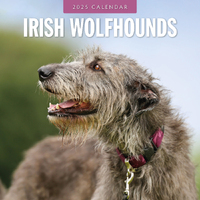 2025 Calendar Irish Wolfhounds 16-Month Square Wall Red Robin RR250112