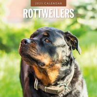 2025 Calendar Rottweilers 16-Month Square Wall Red Robin RR250137