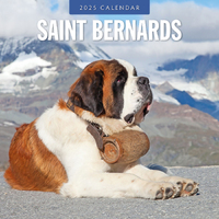 2025 Calendar Saint Bernards 16-Month Square Wall Red Robin RR250138