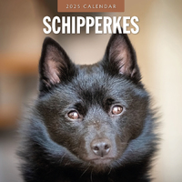 2025 Calendar Schipperkes 16-Month Square Wall Red Robin RR250140