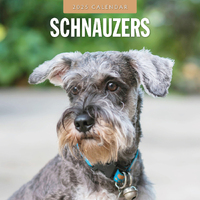 2025 Calendar Schnauzer 16-Month Square Wall Red Robin RR250141