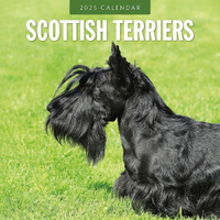 2025 Calendar Scottish Terriers 16-Month Square Wall Red Robin RR250142