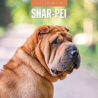 2025 Calendar Shar-Pei 16-Month Square Wall Red Robin RR250143