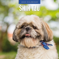 2025 Calendar Shih Tzu 16-Month Square Wall Red Robin RR250146