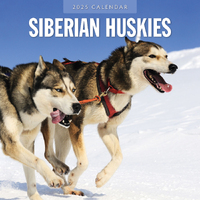 2025 Calendar Siberian Huskies 16-Month Square Wall Red Robin RR250147