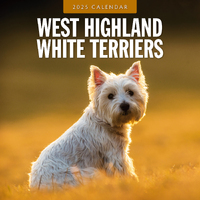 2025 Calendar West Highland White Terriers 16-Month Square Wall Red Robin RR250157