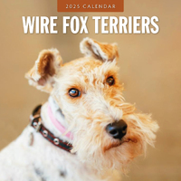 2025 Calendar Wire Fox Terriers 16-Month Square Wall Red Robin RR250159