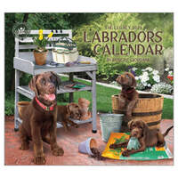 2025 Legacy Calendar Labradors by Michelle Oude Avenhuis Wall, Legacy WCA91025