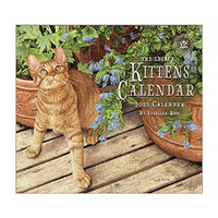 2025 Calendar Kittens by Sueellen Ross Wall, Legacy WCA93854