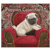 2025 Calendar Puppies by Sueellen Ross Wall, Legacy WCA93868