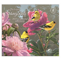 2025 Calendar Songbirds by Hautman Brothers Wall, Legacy WCA94517