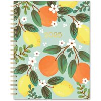 2025 17-Month Planner Spiral Fruit & Flora Extra Large Weekly/Monthly Orange Circle Studio 25426