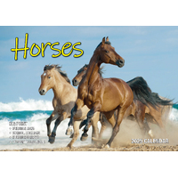 2025 Calendar Big Print Horses Wall Bartel BP514