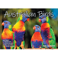 2025 Calendar Big Print Birds Of Australia Wall Bartel BP522