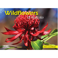 2025 Calendar Prestige Wildflowers of Australia Wall Bartel CA506