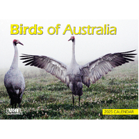 2025 Calendar Prestige Birds of Australia Wall Bartel CA507