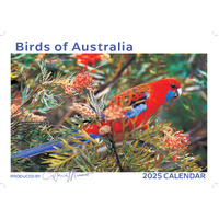 2025 Calendar Birds of Australia Wall David Messent BC