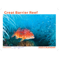 2025 Calendar Great Barrier Reef Wall David Messent GBRC