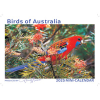 2025 Calendar Birds of Australia Mini Wall David Messent MB