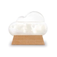 The Executive Collection Cloud Weather Station by isGift 88061