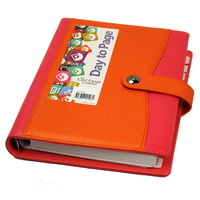 2025 Diary Nicholls A5 Midi Day to Page Clip Pink/Orange Last Diary Company A51CPIO