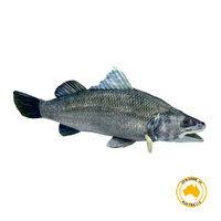 Huggable Toys Plush Aquarium Barramundi Barry 62cm