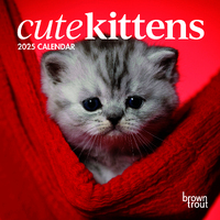 2025 Calendar Cute Kittens Mini Wall Browntrout A04084