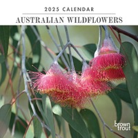 2025 Calendar Australian Wildflowers Mini Wall Browntrout A04114